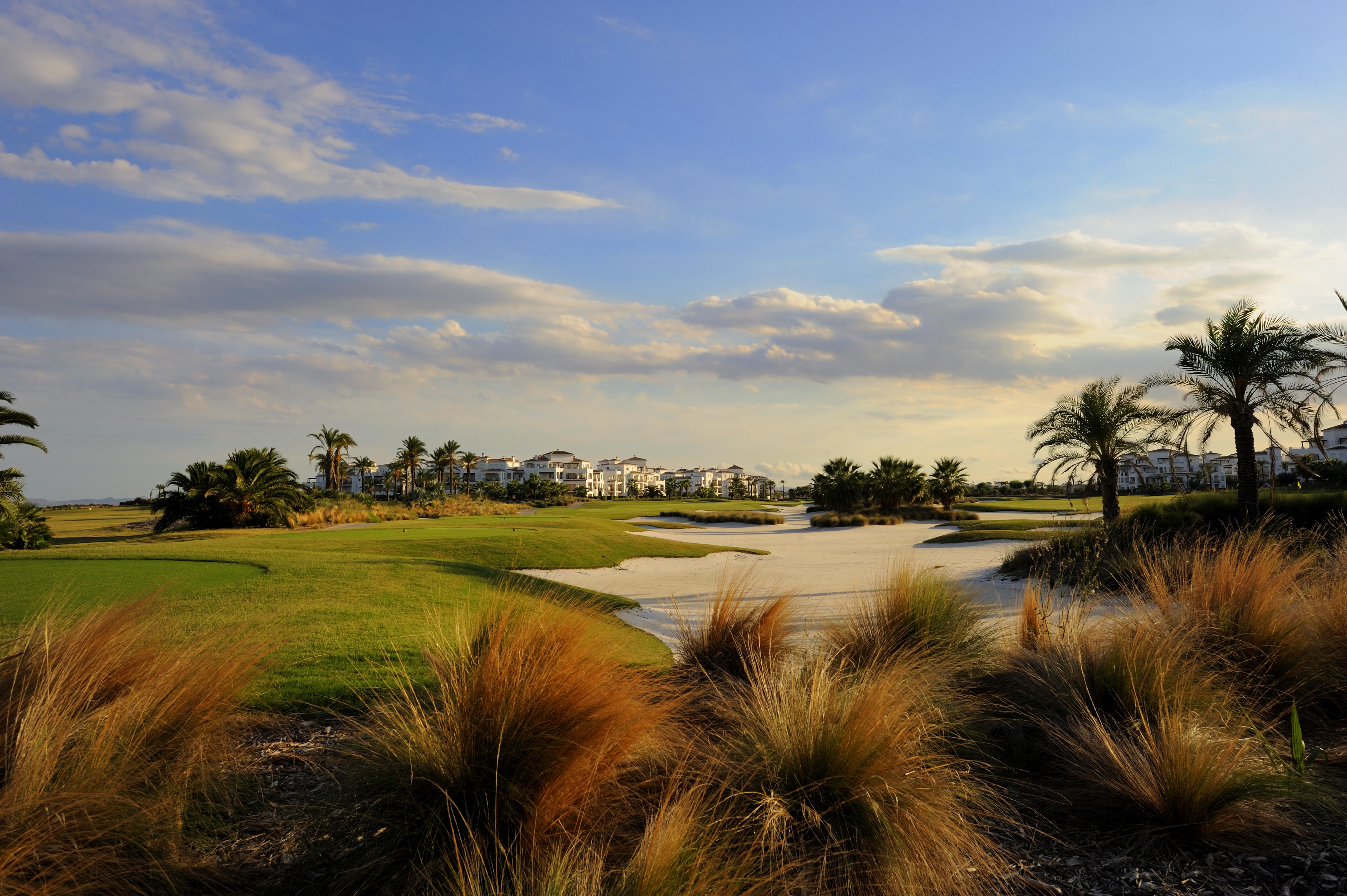 Doubletree By Hilton La Torre Golf Resort Рольдан Экстерьер фото Golf course at the Ritz-Carlton, Naples